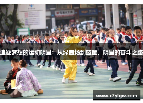 追逐梦想的运动明星：从绿茵场到篮筐，明星的奋斗之路